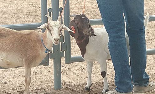 Abiquiu Rural Events Center Medanales