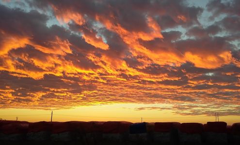 Bobo-Moseley Gin Co Lyon