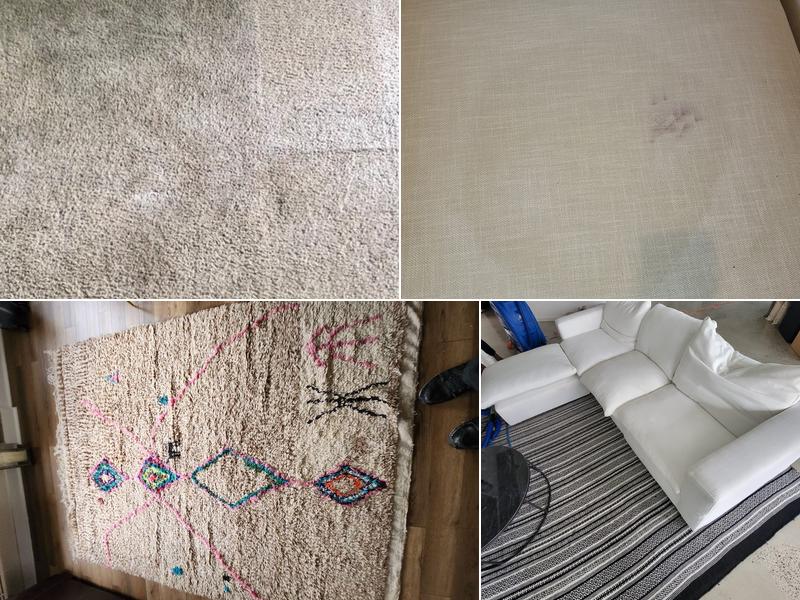 Steve's Carpet & Upholstery Cleaning Experts