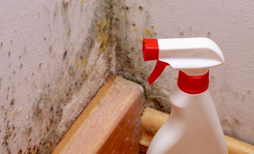 Fort Myers Mold Solutions