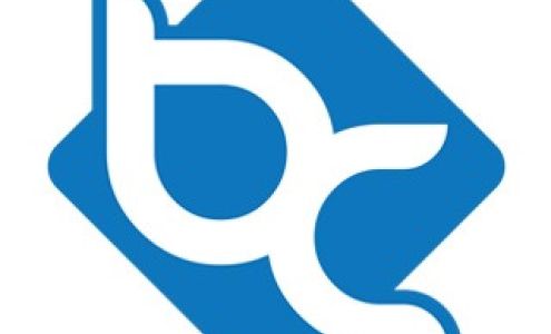 Bayview Cleaning, LLC