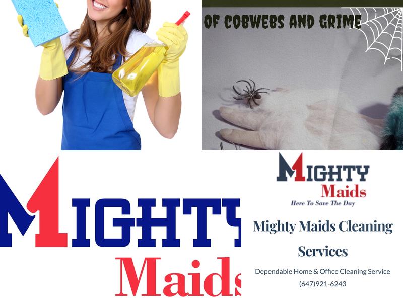 Mighty Maids Cleaning Services