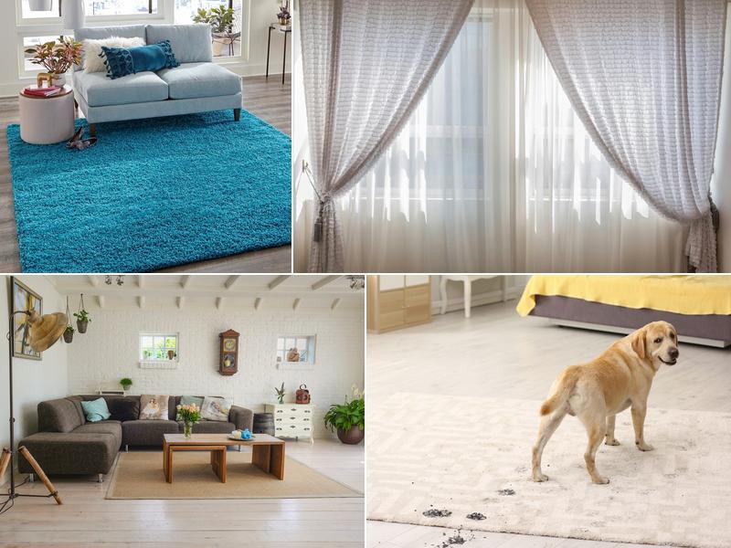 Area Rug Cleaning Staten Island