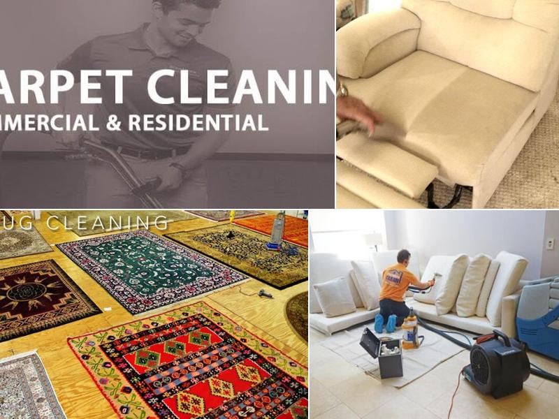 Eco Clean Rug & Upholstery Cleaning LLC