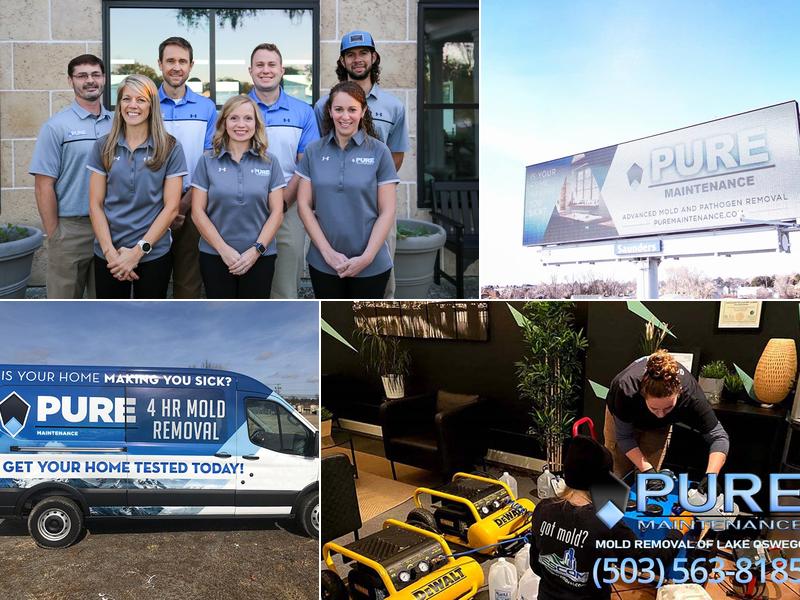 Pure Maintenance Lake Oswego