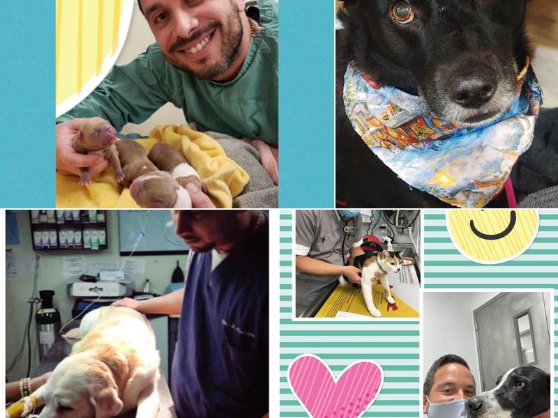 Suffolk Animal Hospital NY