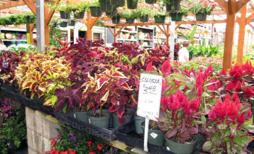 Garden Center at The Home Depot