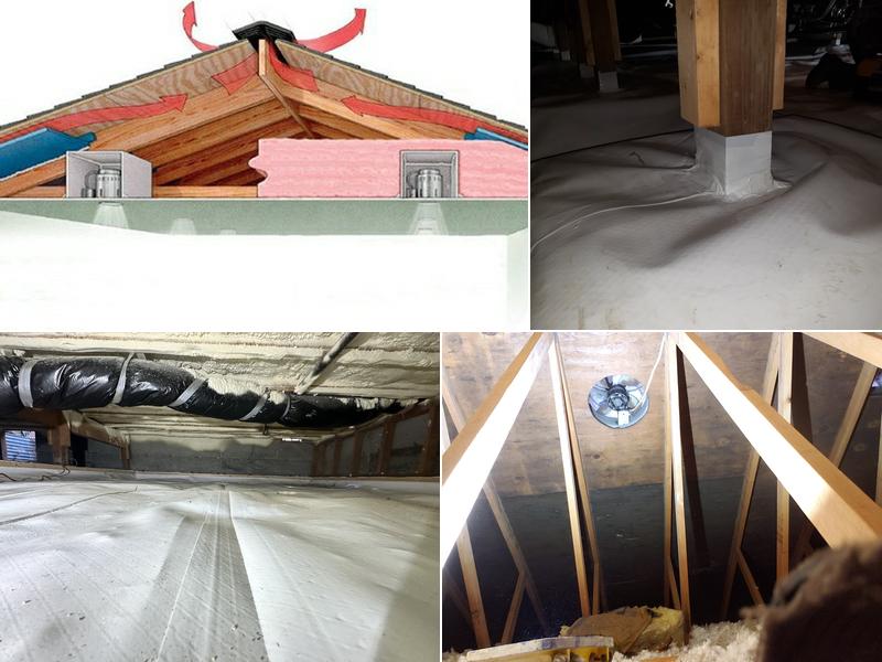 HOMETEC - water damage, mold removal