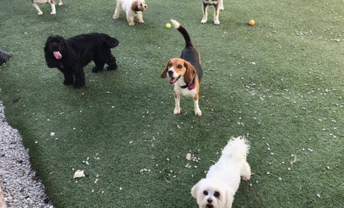 The Retreat at Cottonwood Veterinary Clinic