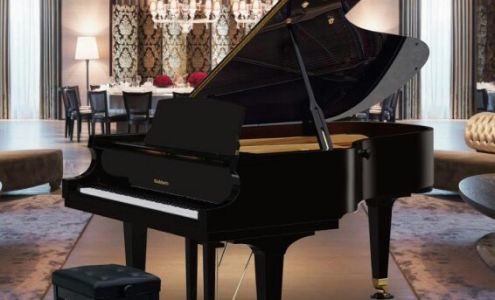 Fine Arts Music School