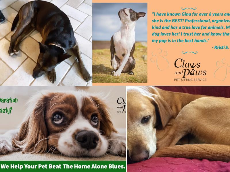 Claws and Paws Pet Sitting Service