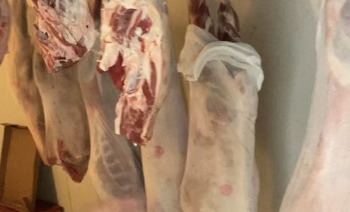 Boucherie Yunus Halal Meat