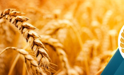 Church at Baton Rouge - Lacy Hawkins, Minister