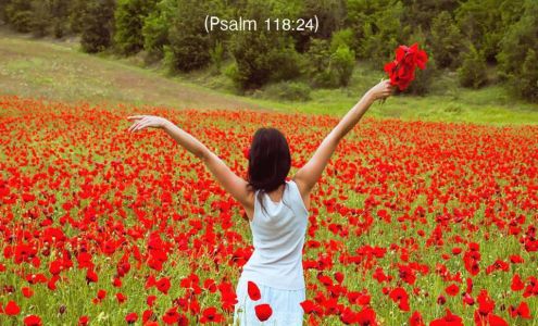 Paul Thigpen Ford of Waynesboro Parts Waynesboro