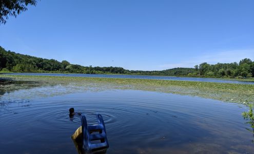 Friends Lake Community Chelsea