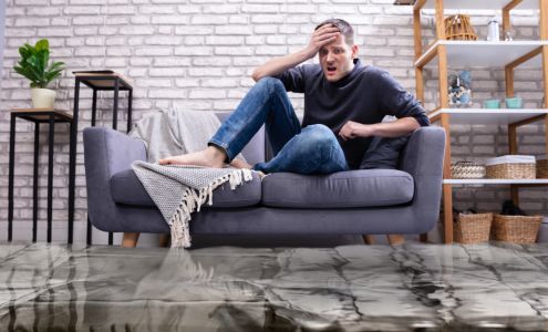 Greensboro Mold Remediation Inc