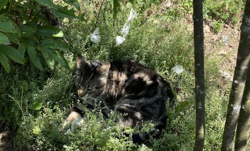 We Do Metal Roofs - Reading, PA District Office
