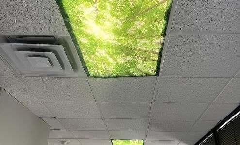 A Step Ahead Pediatric Therapy: Kaiser Crista E