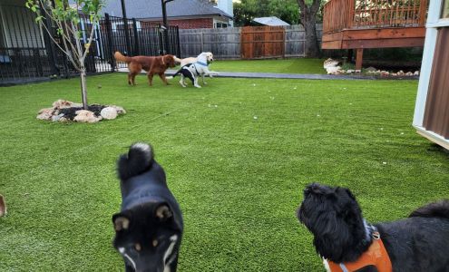 Right at Home Pet Boarding