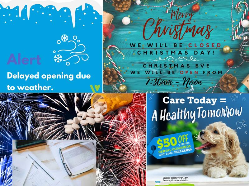 Austin Vet Care: Preddy Tiffany DVM