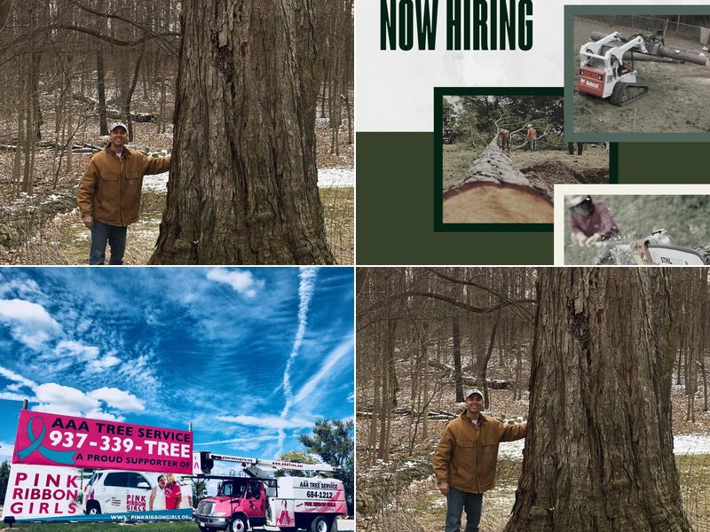 A-Able Tree & Landscaping