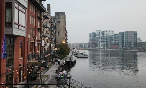 Cat Doctor: Seibert Nikki DVM