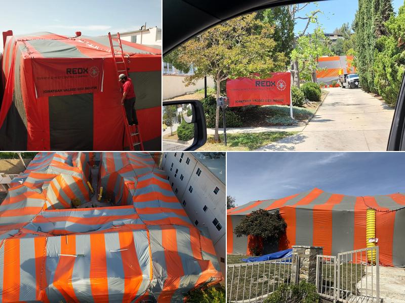 REDX Termite & Pest Control Company