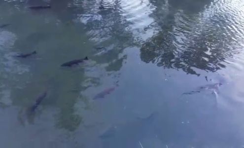 Fish & Game Seward Seward