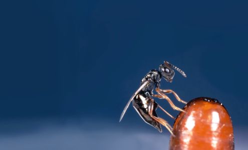 Green Methods Redding