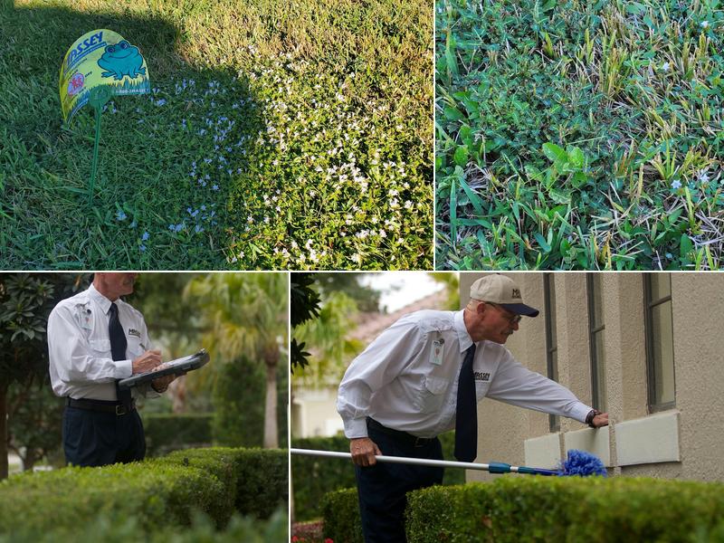 Massey Services Pest Control