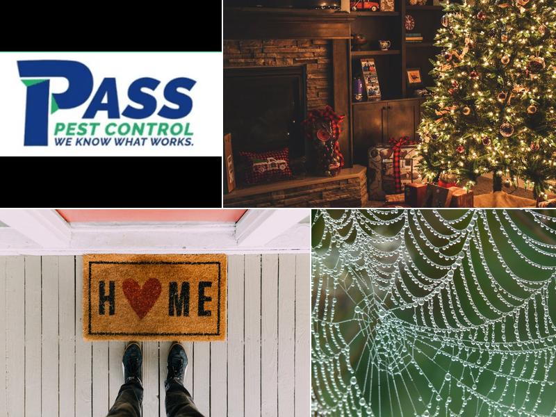 Pass Pest Control