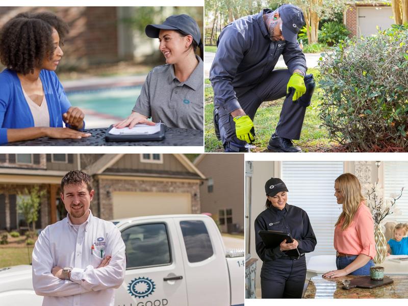 Allgood Pest Solutions