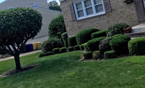 Carlos Lawn Services & Junk removal 337 Bryanstone Rd, Reisterstown Maryland 21136