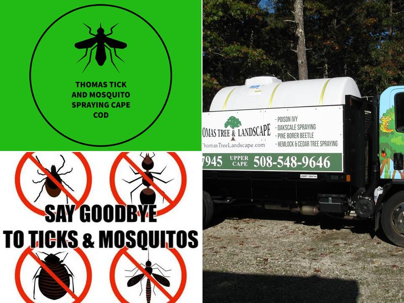 THOMAS TICK AND MOSQUITO SPRAYING CAPE COD