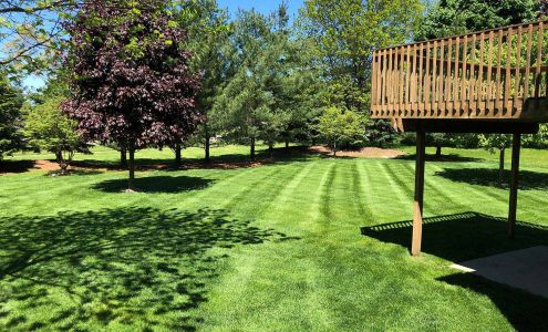 Sharper Image Lawn Care