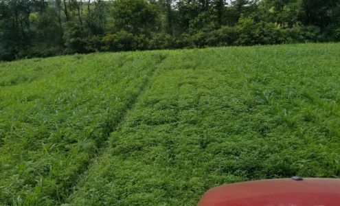 Washington AG Supply Inc Washington