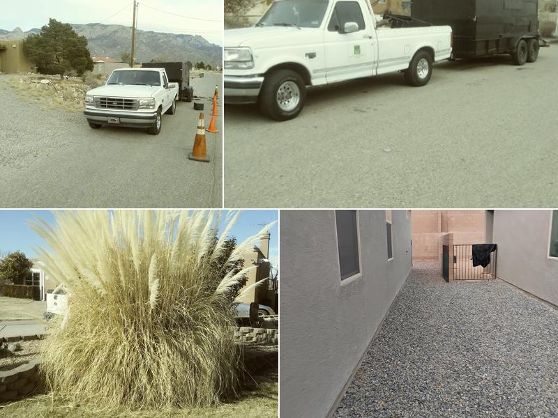 Davids Tree Removal and Stump grinding/Removal