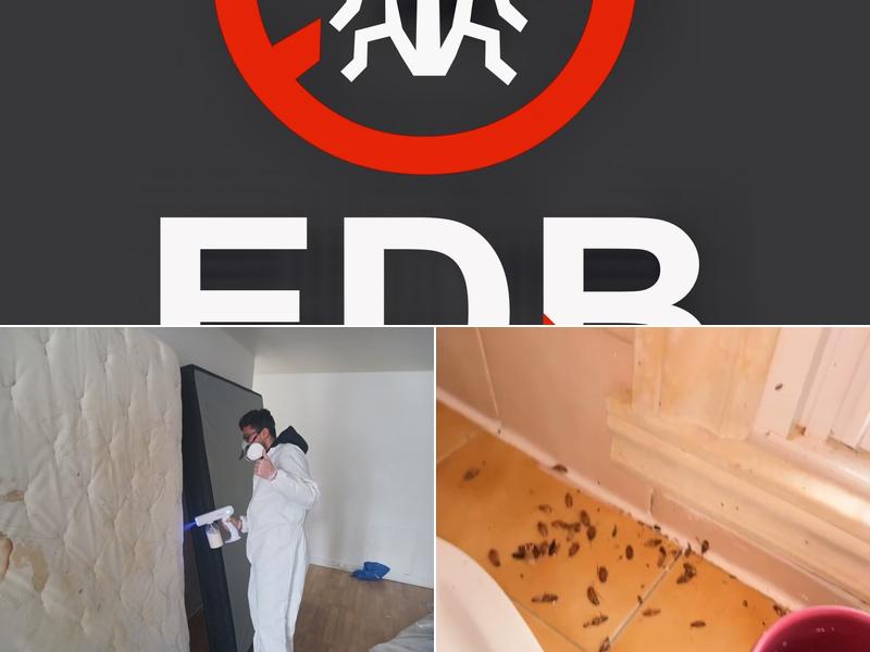 EDB Extermination
