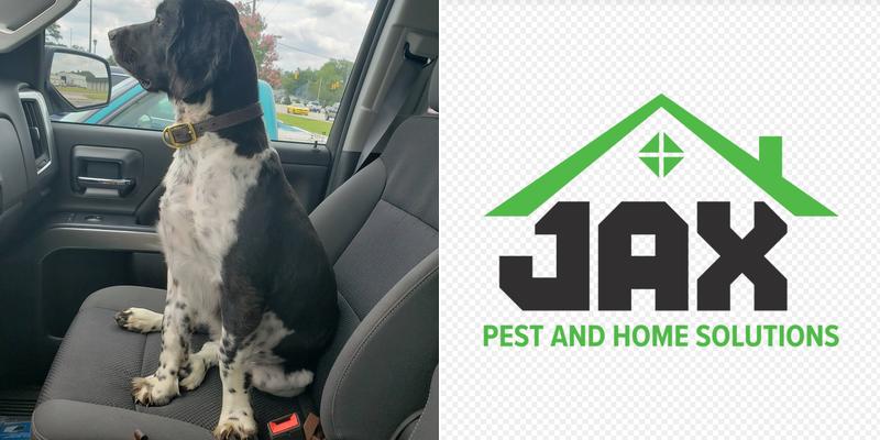 Jax Pest and Home Solutions