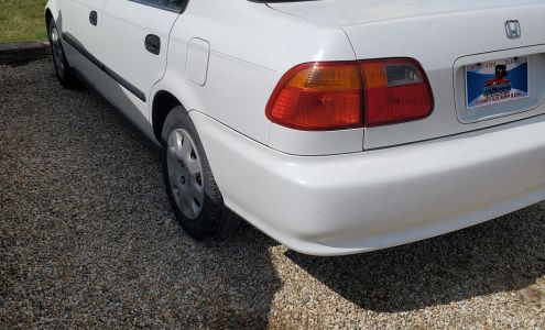 Big Dog Cars & Trucks