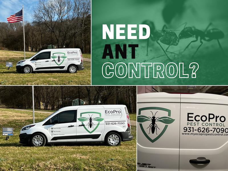 EcoPro Pest Control - Columbia