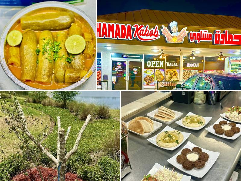 Hamada kabob حمادة مشاوي