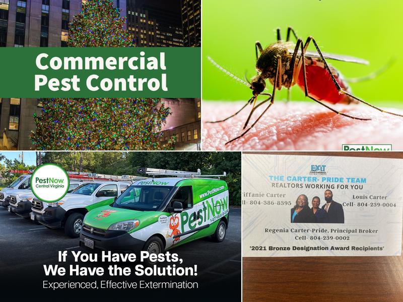 PestNow of Central Virginia | Richmond