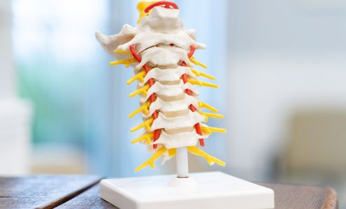 Southern Coast Spine & Pain Specialists 841 Elm St W, Varnville South Carolina 29944