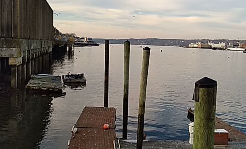 East Gloucester Marine Gloucester