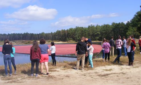 Hyannis Harbor Tours Inc dba Cape Cod Custom Tours Hyannis