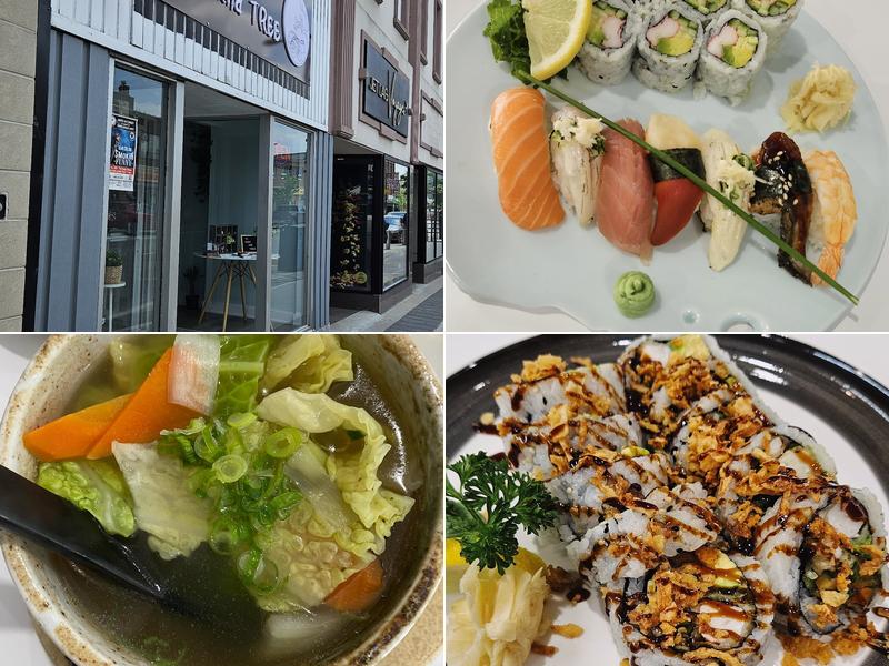 SUSHI and TREE 9 Dunlop St W, Barrie