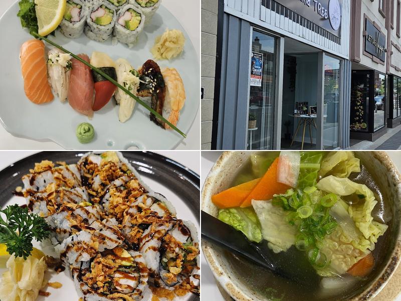 SUSHI and TREE 9 Dunlop St W, Barrie