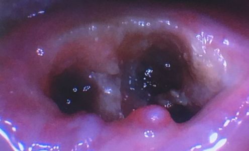 San Ysidro Dental Care