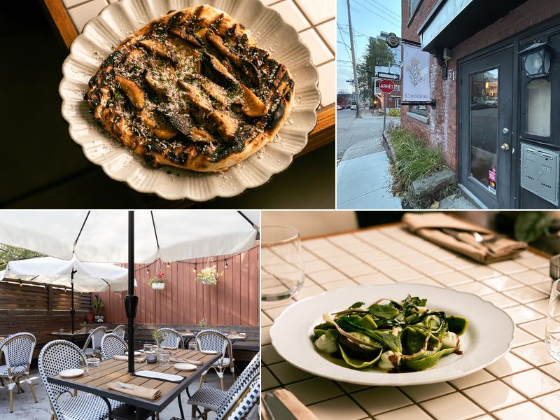 Caméline 51 Rue Saint-Jacques, Gatineau